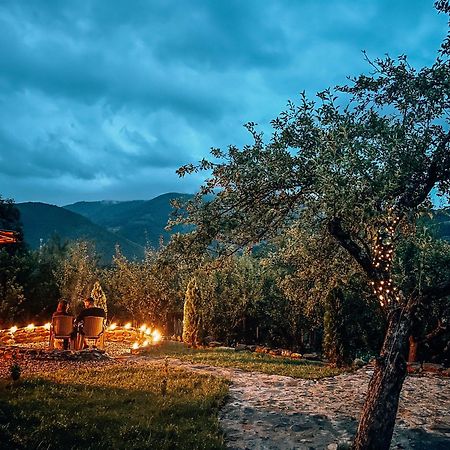 Elysian Fields - The Island Tiny House Bed and Breakfast Sadu Εξωτερικό φωτογραφία
