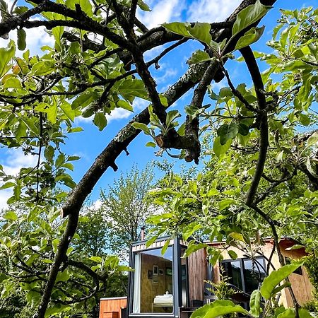 Elysian Fields - The Island Tiny House Bed and Breakfast Sadu Εξωτερικό φωτογραφία