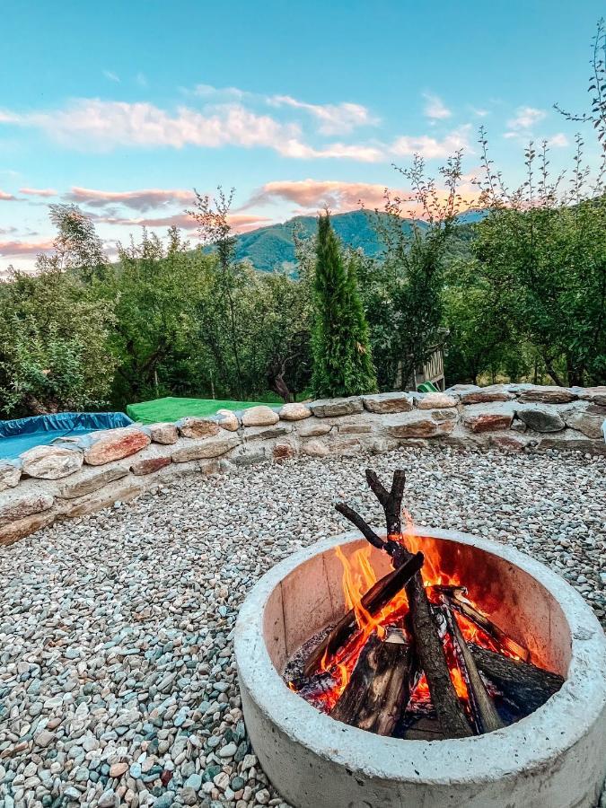 Elysian Fields - The Island Tiny House Bed and Breakfast Sadu Εξωτερικό φωτογραφία