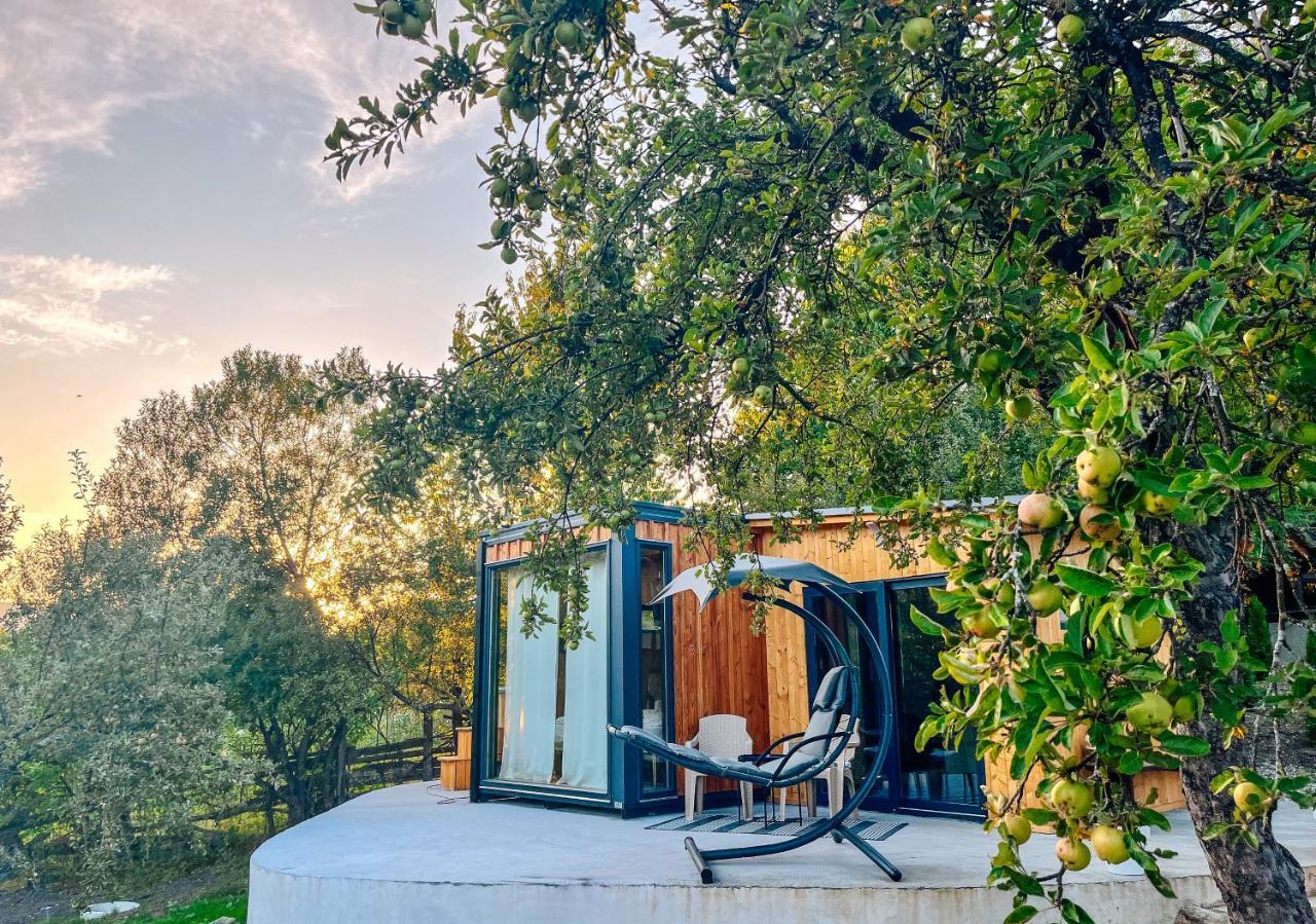 Elysian Fields - The Island Tiny House Bed and Breakfast Sadu Εξωτερικό φωτογραφία