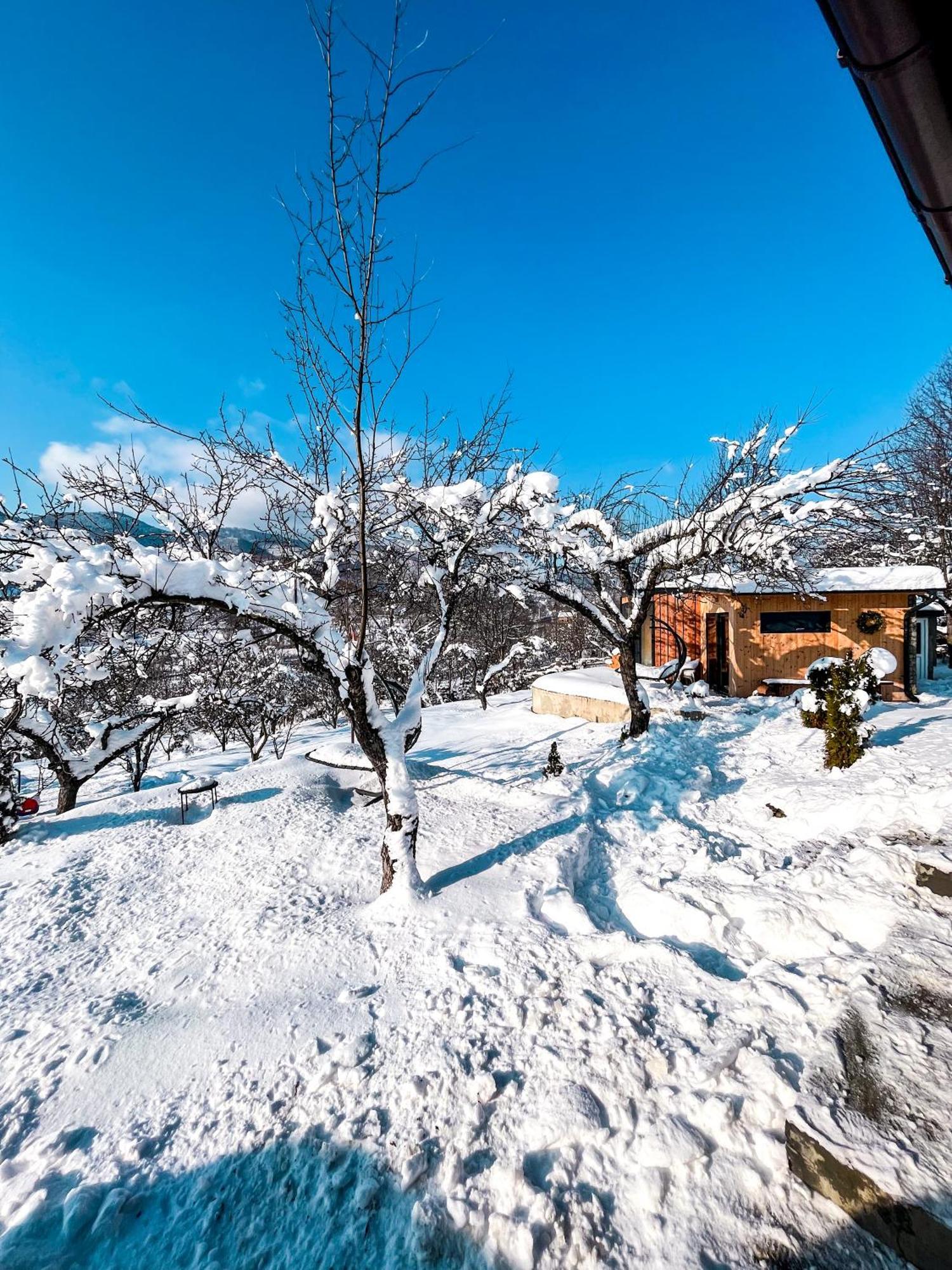 Elysian Fields - The Island Tiny House Bed and Breakfast Sadu Εξωτερικό φωτογραφία
