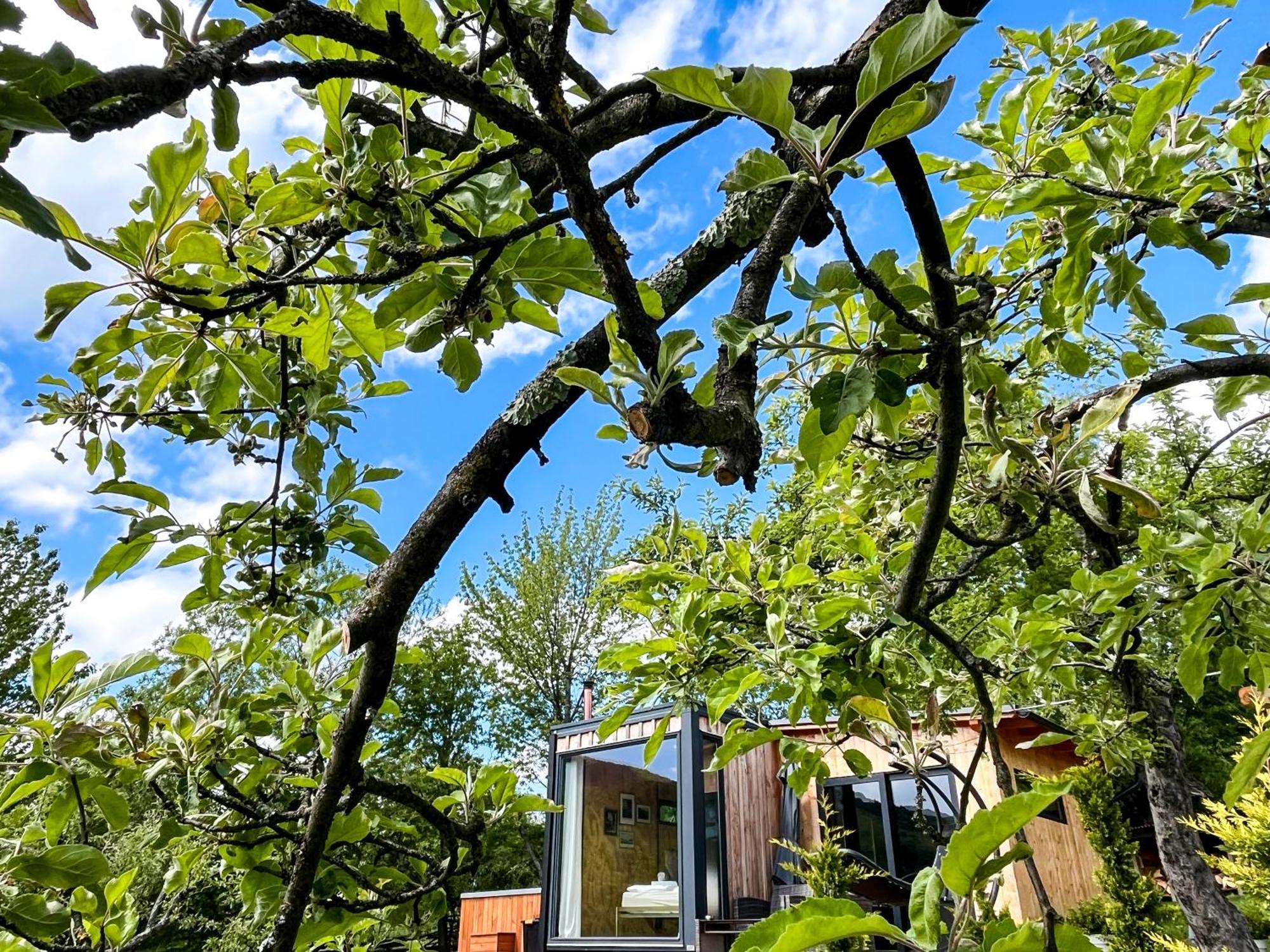 Elysian Fields - The Island Tiny House Bed and Breakfast Sadu Εξωτερικό φωτογραφία